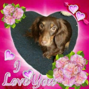 Meet your Posher, Tammy